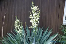 comp_DSC09136.webp