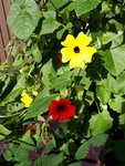 20200706_175752.jpg
