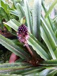 20200706_183349.jpg