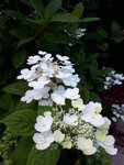 20200706_175716.jpg