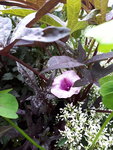 20200706_183020.jpg
