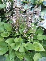 20200706_174812.jpg