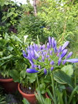 20200706_174135.jpg