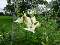 DSC01122.webp