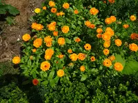 DSC01128.webp