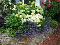 DSC01124.webp