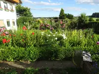 DSC01134.webp