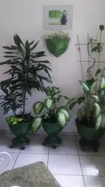 20200706_131517.jpg