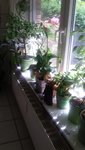 20200706_131530.jpg