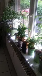 20200706_131530.jpg