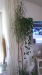 20200706_131559.jpg