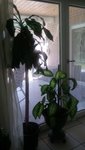 20200706_131639.jpg
