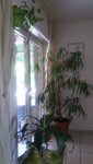 20200706_131719.jpg