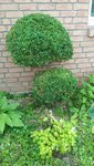 20200704_144605.jpg