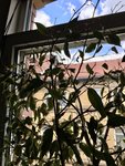IMG_8687.JPEG