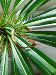 20200707_112620.jpg