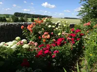 DSC01137.webp