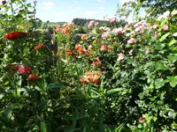 DSC01139.webp