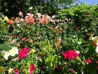 DSC01140.webp