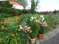 DSC01141.webp