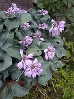 20200707_201902.webp