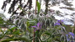 20200708_195035.jpg