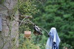 DSC09139.JPG
