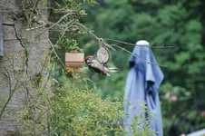 DSC09151.webp