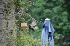DSC09154.webp