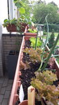 20200627_182226.jpg