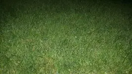 IMG-20200708-WA0009.webp