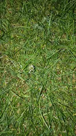 IMG-20200708-WA0007.webp