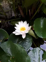 20200708_180138.webp