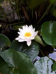 20200708_180138.jpg