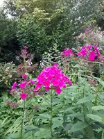 20200708_202841.webp