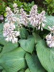 20200708_162024.jpg