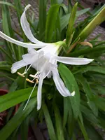 20200708_081416.webp