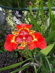 20200708_112811.jpg