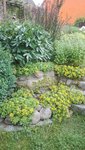IMG_20200703_171506.jpg
