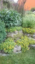 IMG_20200703_171506.jpg