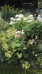 IMG_20200703_171344.jpg