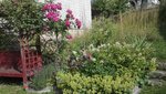 IMG_20200703_171239.jpg