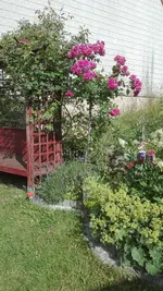 IMG_20200703_171227.jpg
