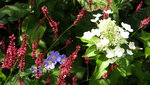 DSCN5214.JPG