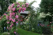 Juli    2120.webp