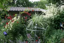 Juli    2620.webp