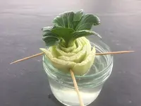 IMG_0218.webp IMG_0218.webp