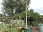 2020-07-09 17.02.31.jpg