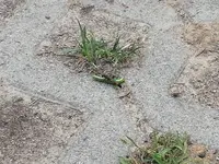 IMG_20190614_164104_BURST007.webp