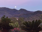 IMG_20200704_214532Mond.jpg